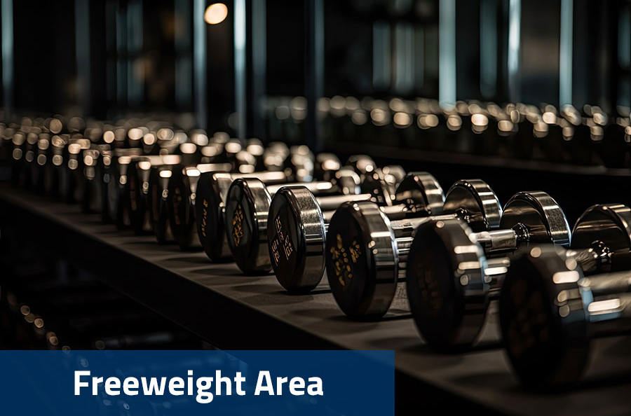 Freeweight Area